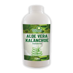 ALOE VERA GEL CON KALANCHOE X 1 LT AURAVITALIS