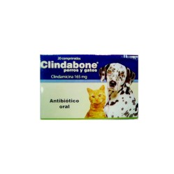 Clindabone Antibiótico Oral Para Perros y Gatos