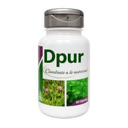 GALEGA D-4 GTS X 30 CC KNOP