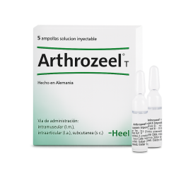 ARTHROZEEL INY AMP X 5 HEEL