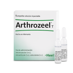 ARTHROZEEL INY AMP X 5 HEEL