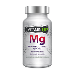 VITAMIN UP MAGNESIO CITRATO QUELADO COM X 60