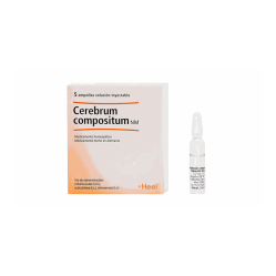 CEREBRUM COMPOSITUM AMP X 5 HEEL