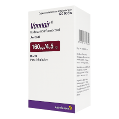 VANNAIR INH 160/4,5 MCG X 120 DSS