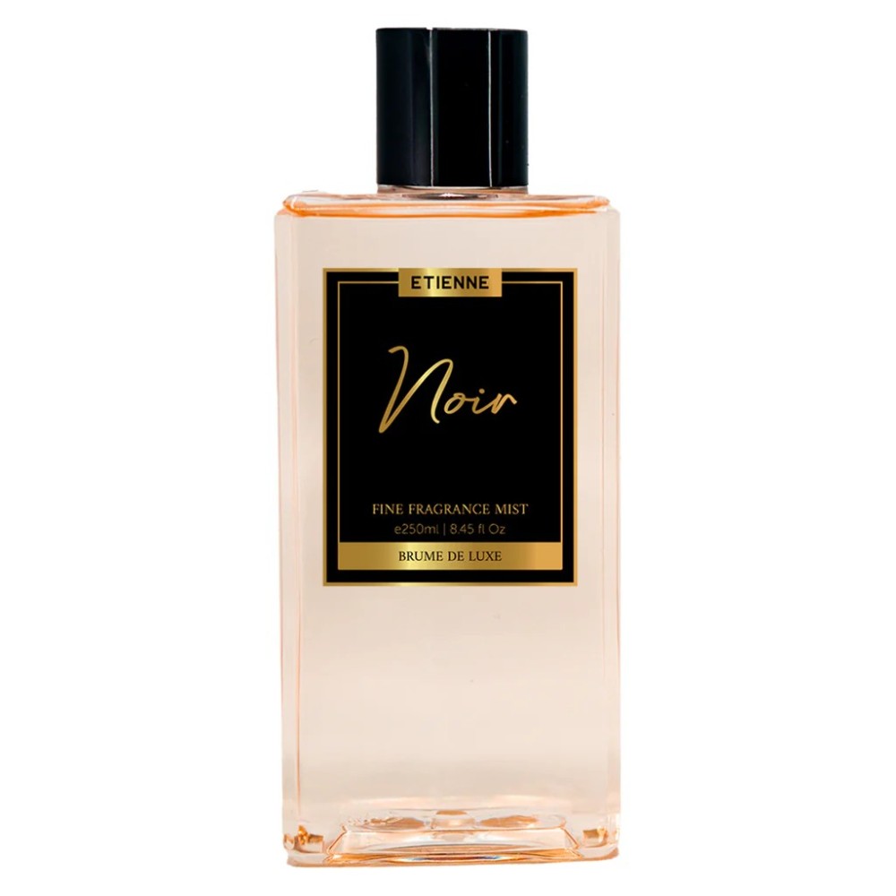 ETIENNE BRUME DELUXE NOIR X 250 ML