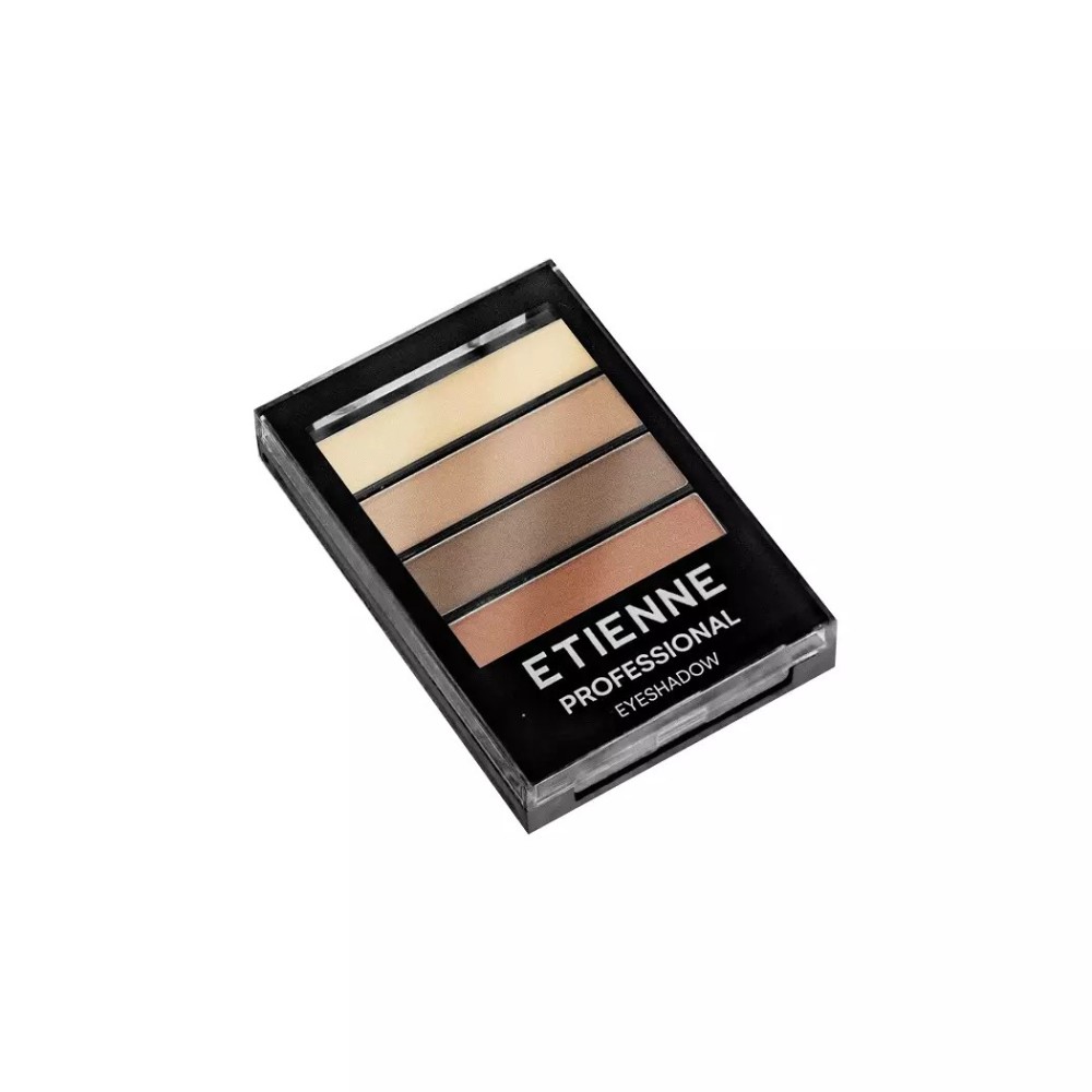 ETIENNE SOMBRA PROF EARTH N 02 X 4 COLORES