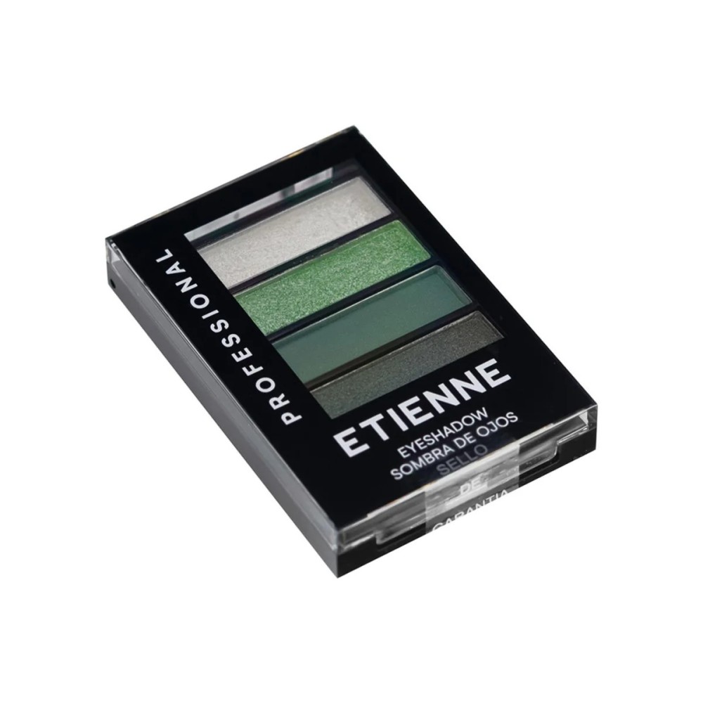 ETIENNE SOMBRA PROF GREEN 05 X 4 UND