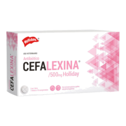 CEFALEXINA COM 500 MG X 10 HOLLIDAY (VET)