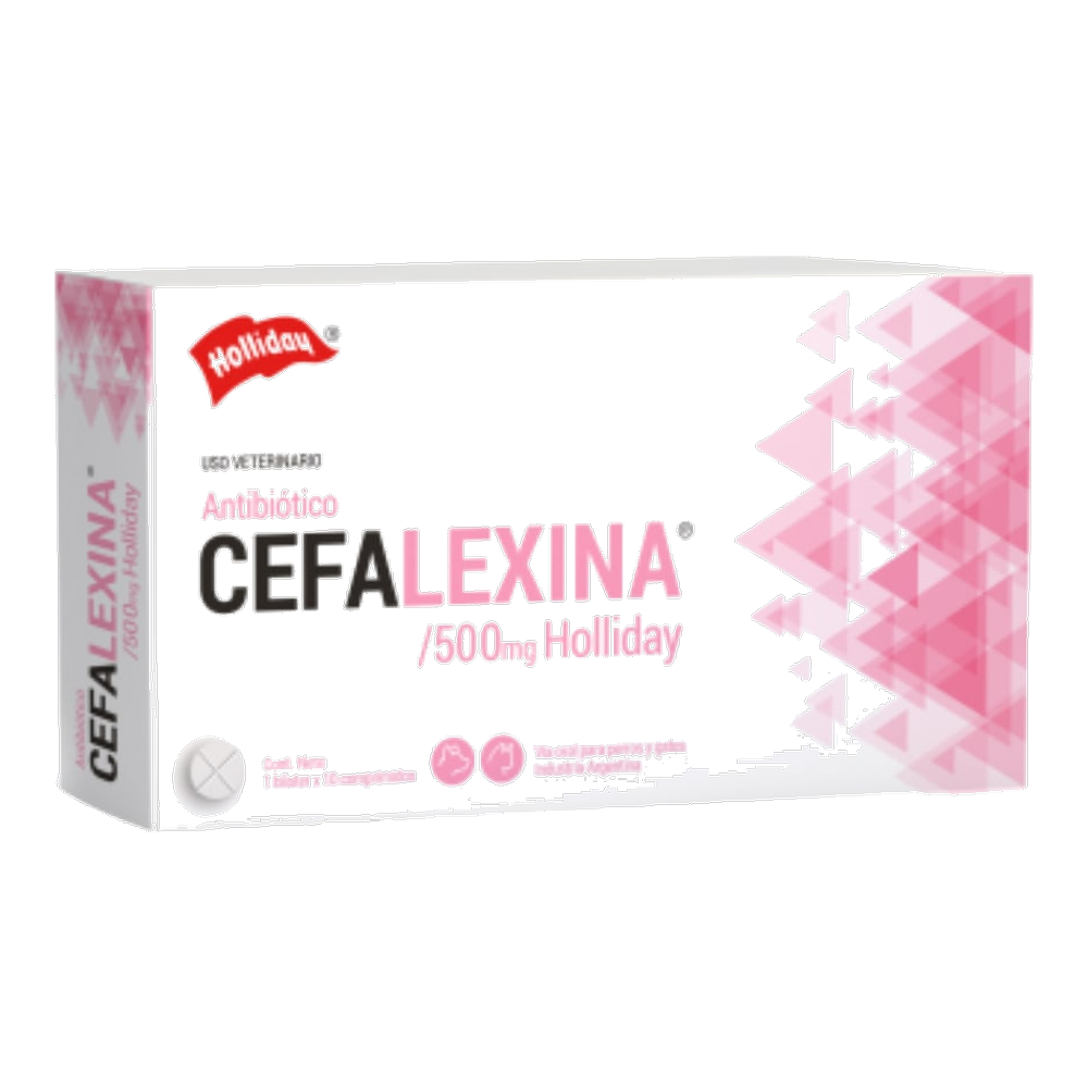 CEFALEXINA COM 500 MG X 10 HOLLIDAY (VET)