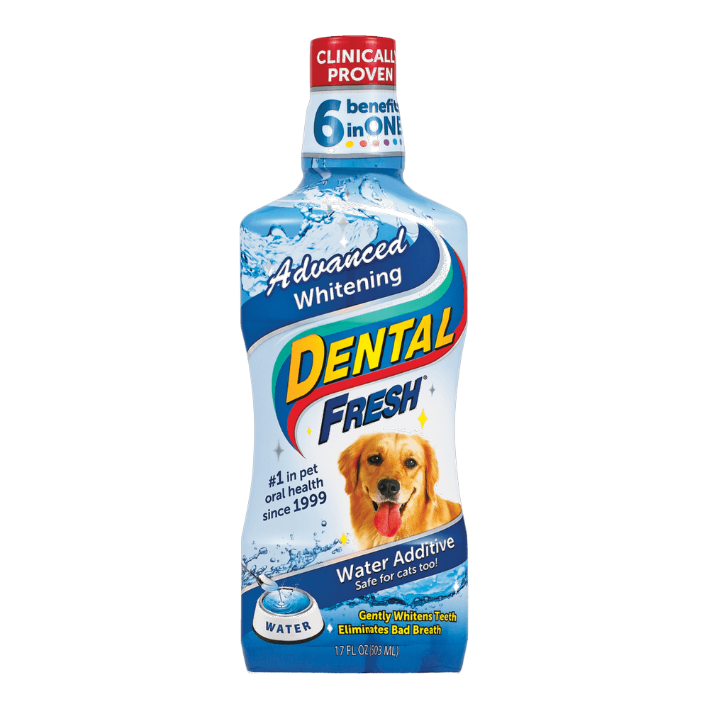 DENTAL FRESH DOG WHITENING X 503 ML