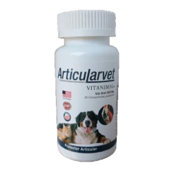 ARTICULARVET COM X 30 UND