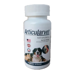 ARTICULARVET COM X 30 UND