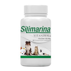 SILIMARINA COM X 90 UND