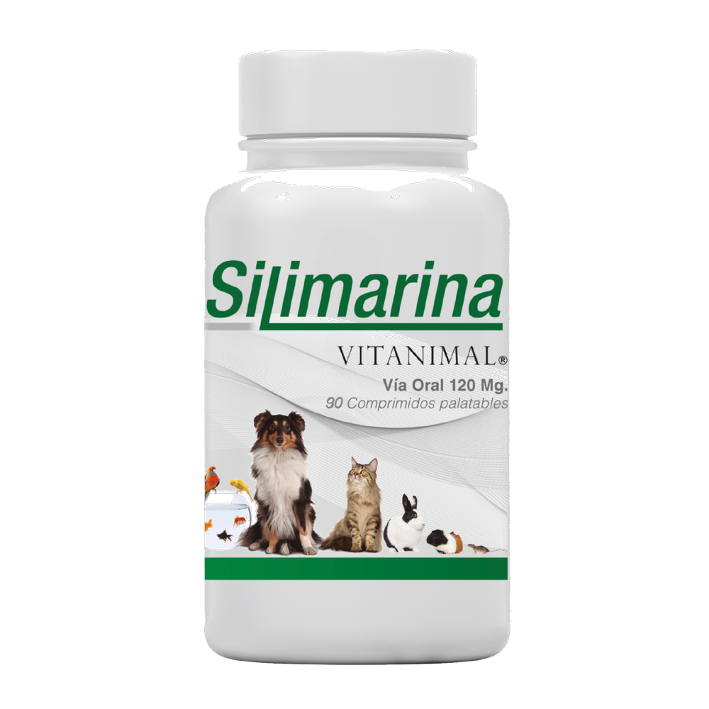 SILIMARINA COM X 90 UND