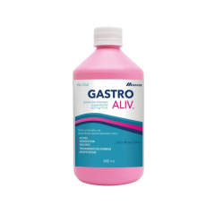 Gastroaliv 262.5mg/15ml S.O X480ml