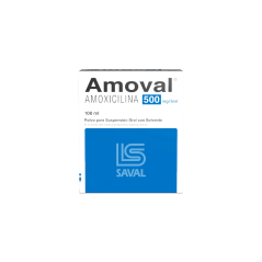 AMOVAL SUS 500 MG X 100 ML