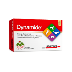 DYNAMIDE  MULTIVITAMINICO GERIATRICO PARA PERROS Y GATOS COMPRIMIDOS PALATAB.X30